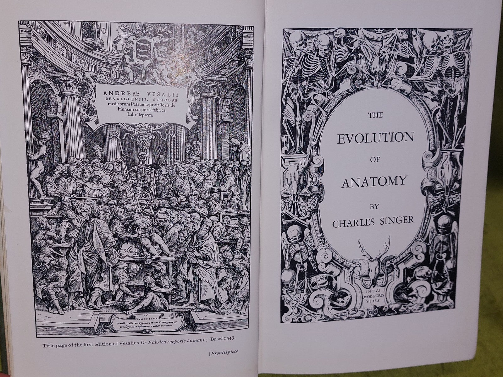 The Evolution of Anatomy by Charles Singer (1925)4