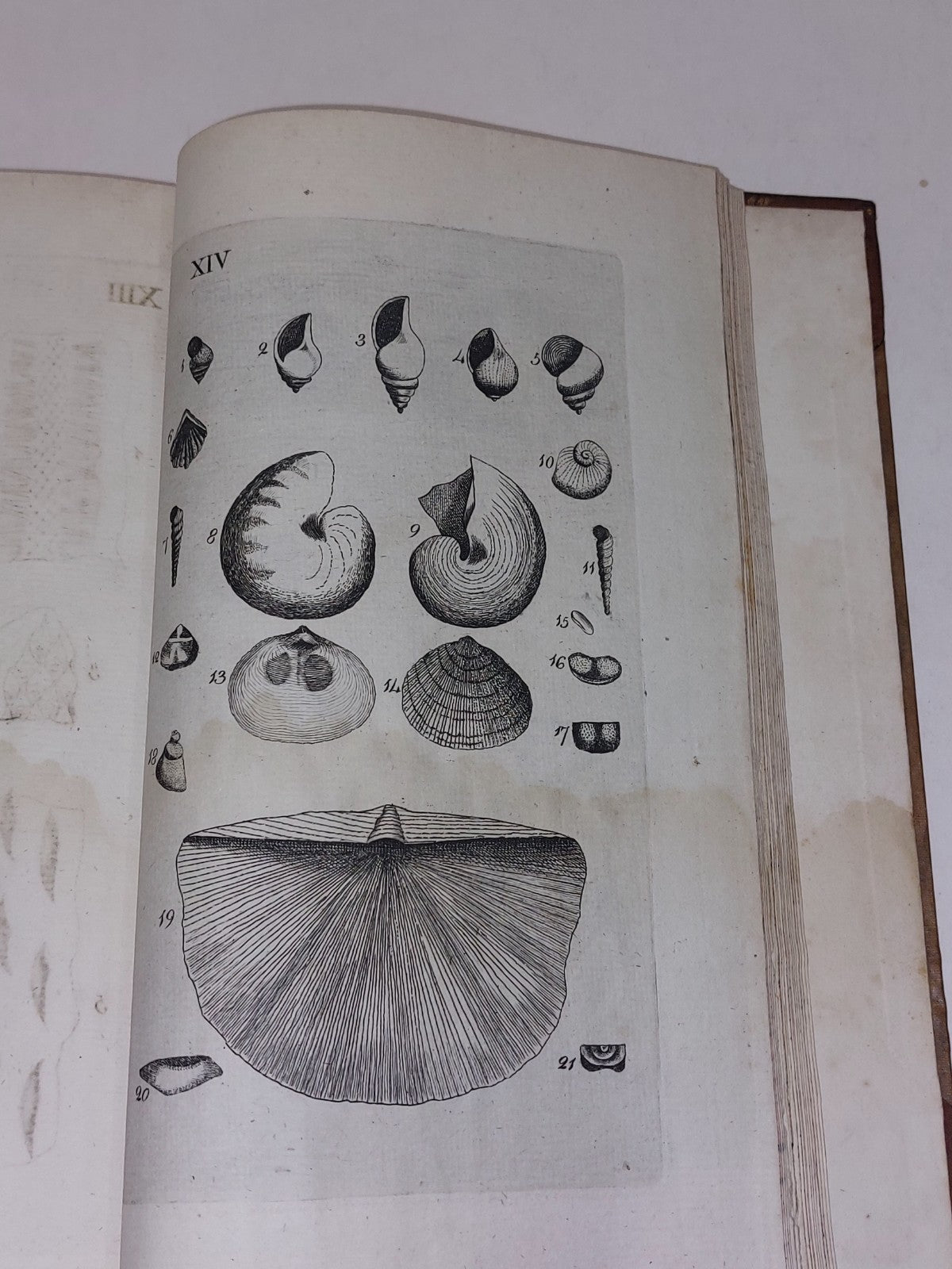 The History Of Rutherglen And East-Kilbride By David Ure (1793) Hb Book7