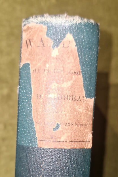 Walden Or Life In The Woods (1884)  Thoreau. 1st Uk Ed. Edinburgh: David Douglas7