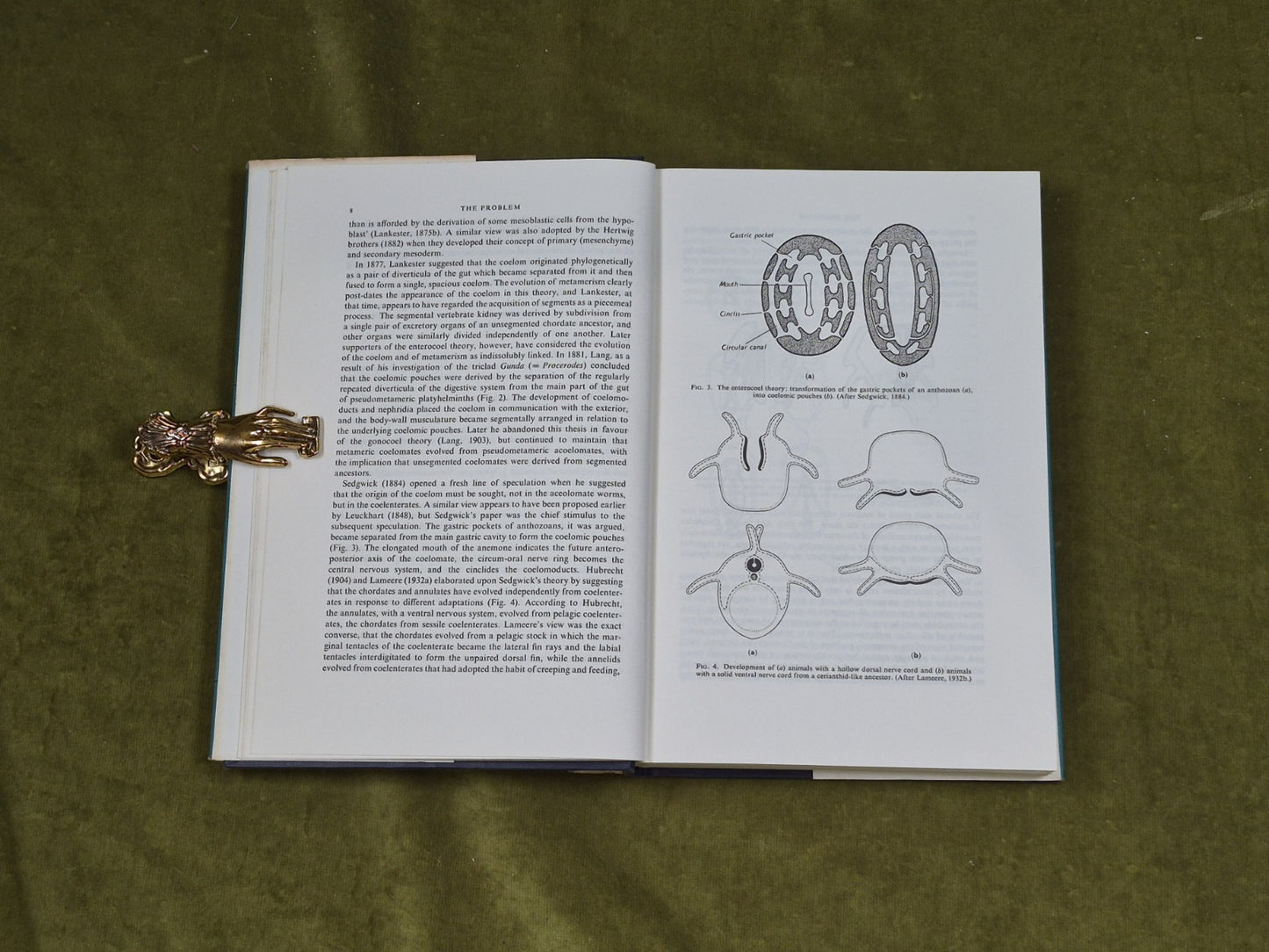 Dynamics in Metazoan Evolution - R. B. Clark , Clarendon Press 1964 HB DJ6