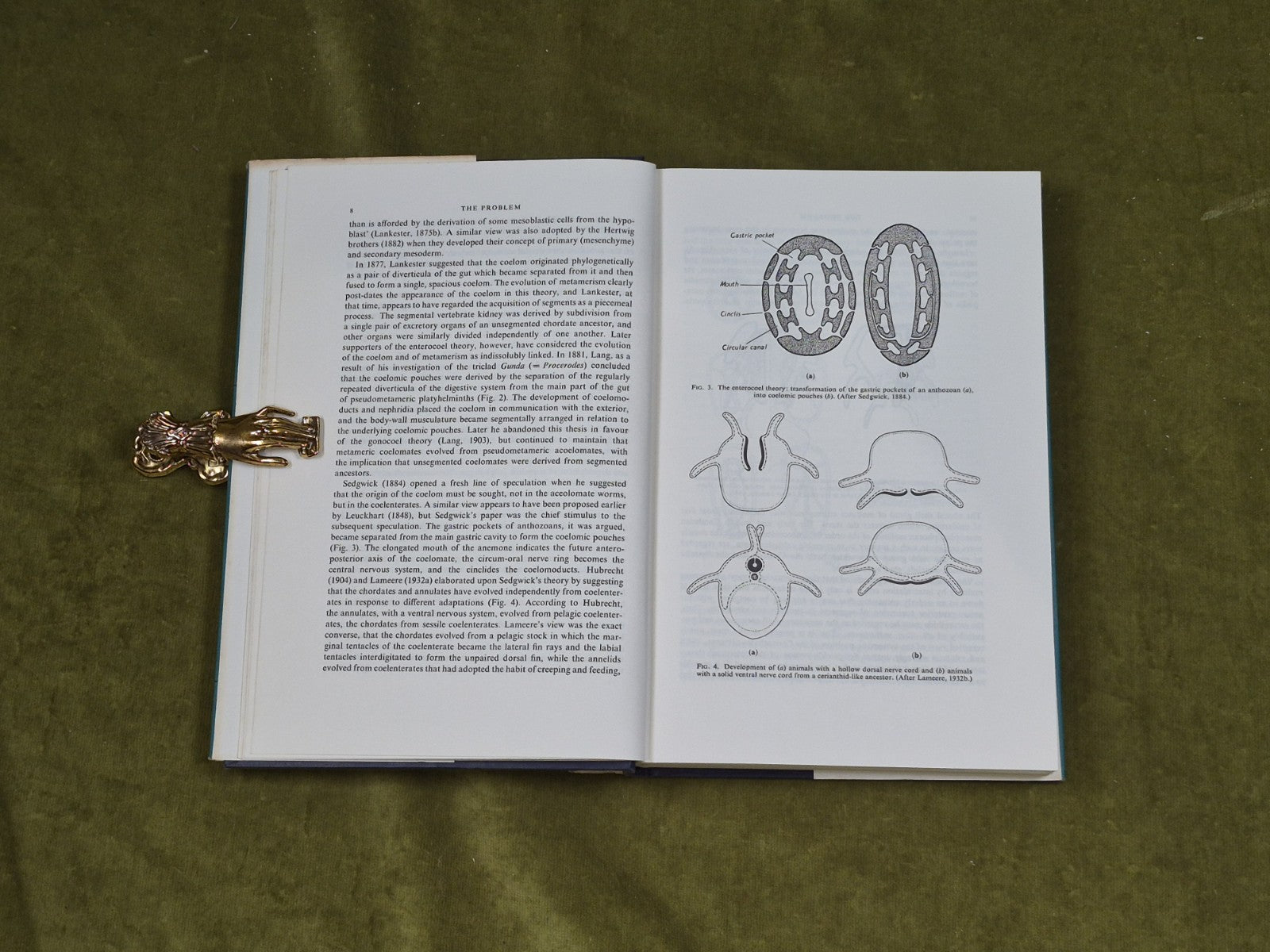 Dynamics in Metazoan Evolution - R. B. Clark , Clarendon Press 1964 HB DJ6