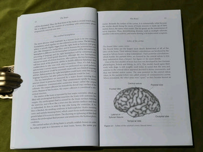 Rise of Homo Sapiens: the Evolution of Modern Thinking by Coolidge and Wynn6