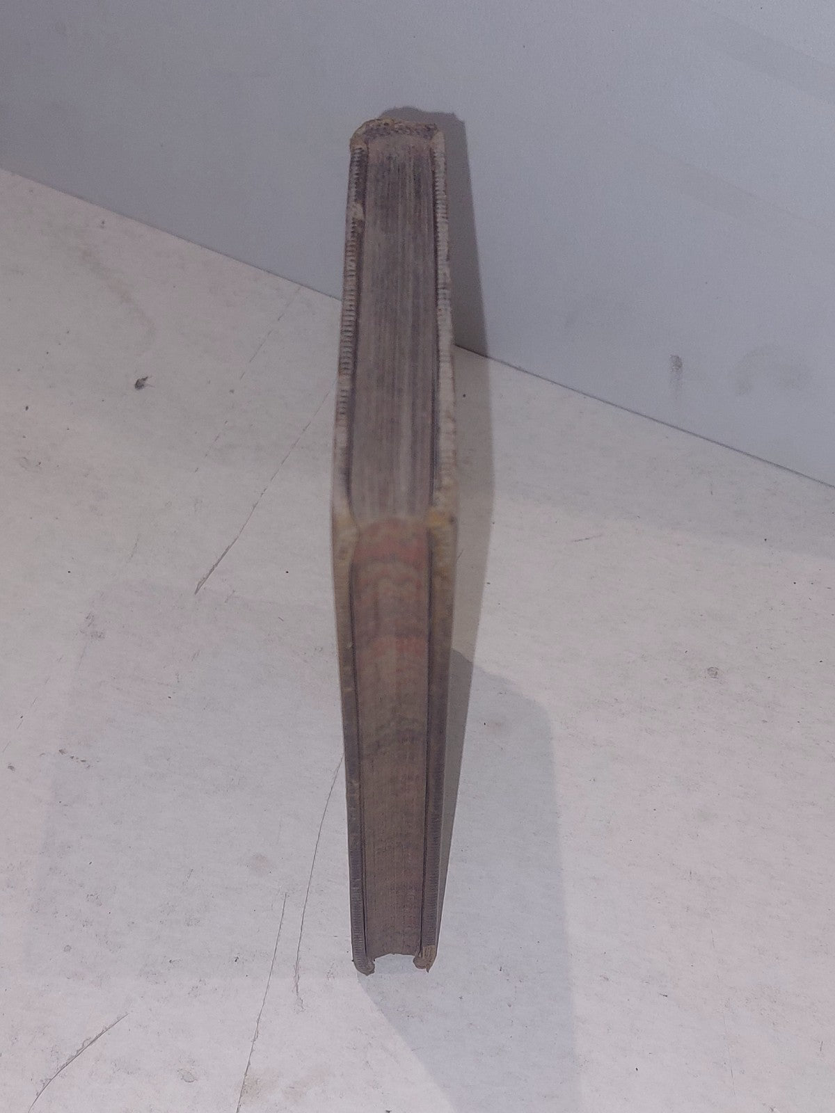 Seeing the World, a Young Sailor's Own Story By Charles Nordhoff, leather Book1