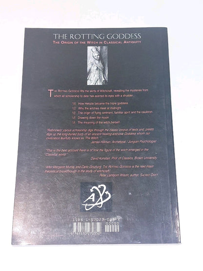 The Rotting Goddess : Origin of Witch in Classical Antiquity by Rabinowitz 19982