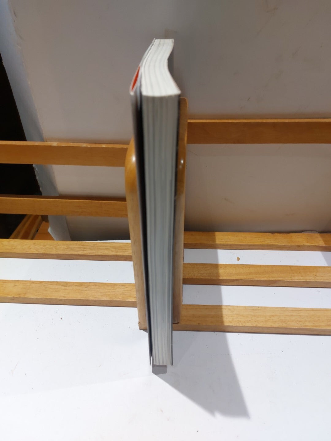 Powiekszenie BlowUp: Photographs in the Time of Tumult; Latarnik (2002)2