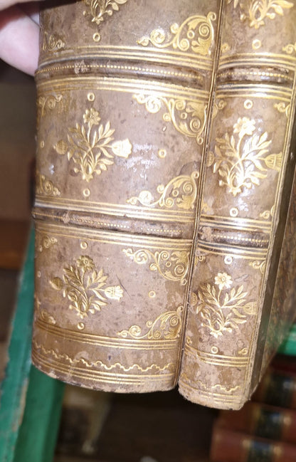 Encyclopedia Britannica full set Eighth Edition 1860 22 Volumes12