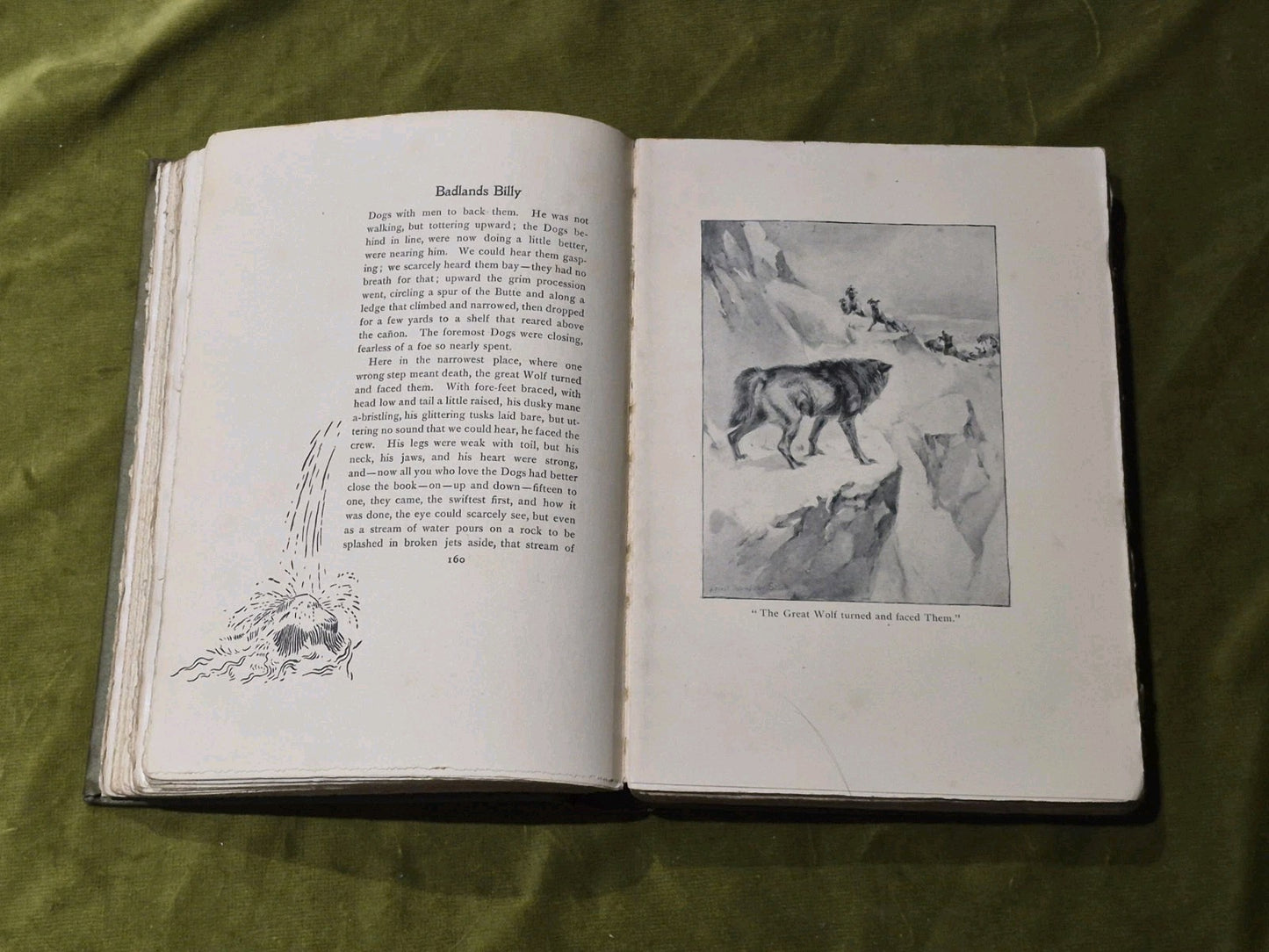 Animal Heroes Ernest Thompson Seton 1905 1st Edition Illustrated HC9