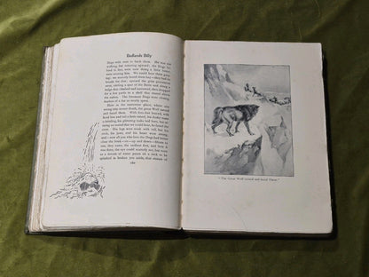 Animal Heroes Ernest Thompson Seton 1905 1st Edition Illustrated HC9