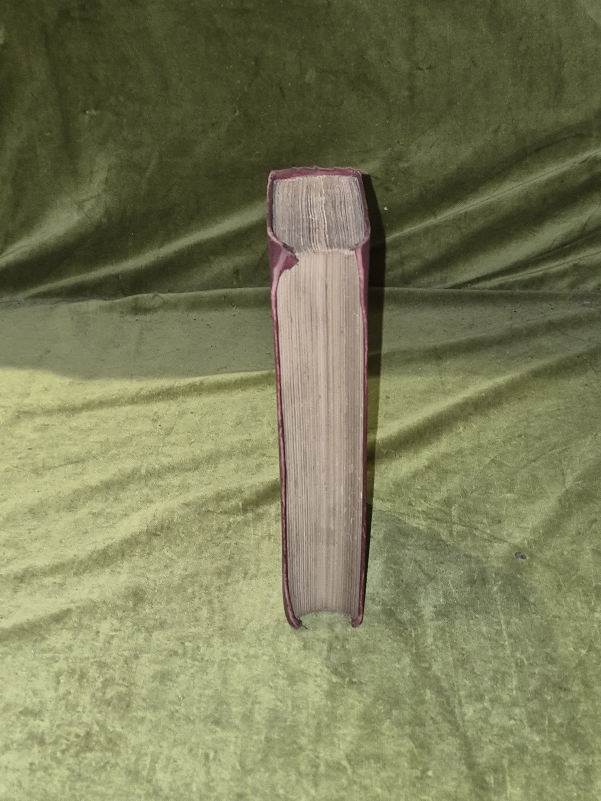 My Diary in India in the Year 1858-9 - W. H. Russell - Routledge 1876 New Ed5