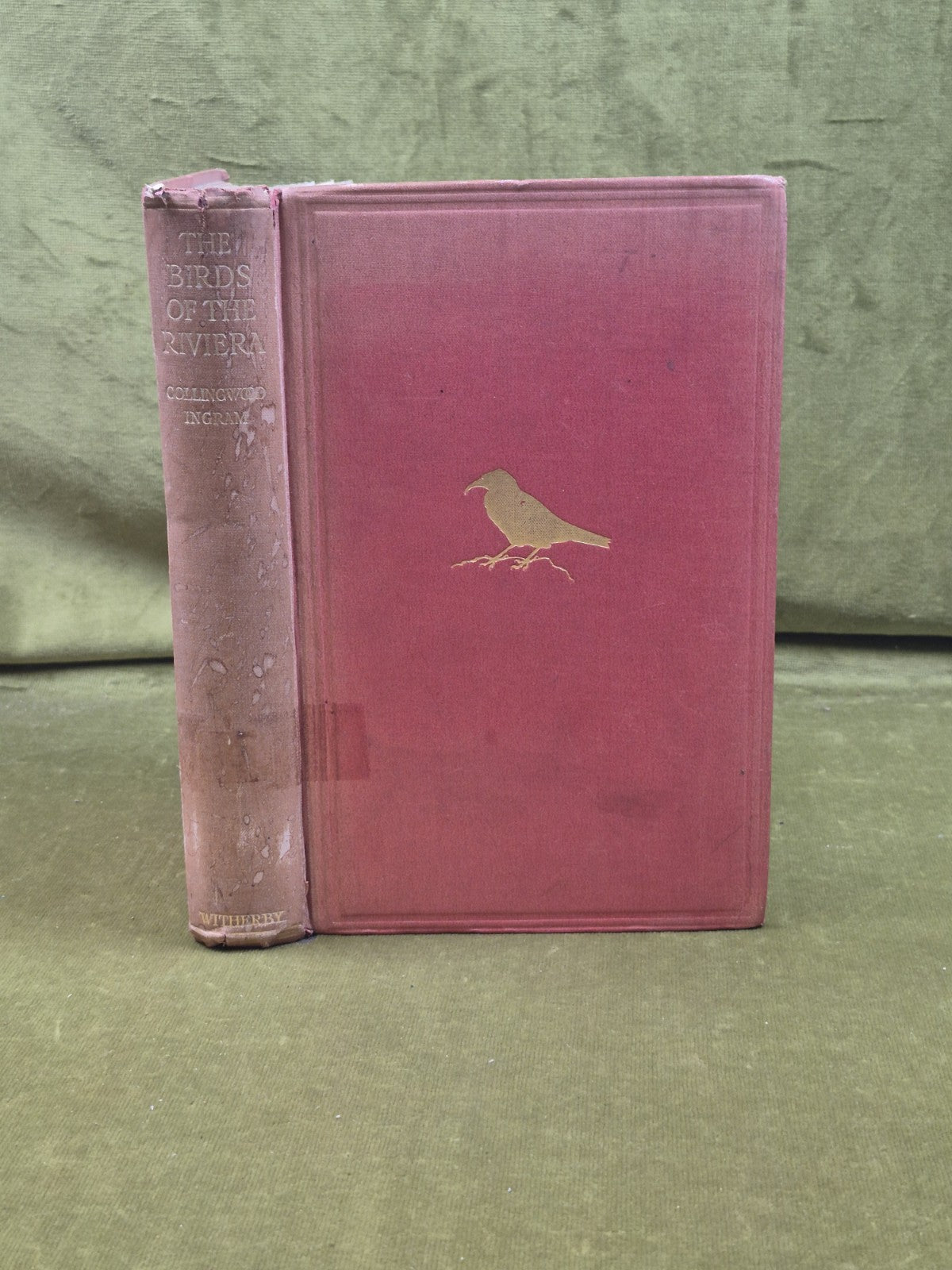 The Birds of the Riviera - Collingwood Ingram , Witherby 1926 HB Ex Lib0