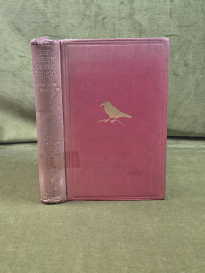 The Birds of the Riviera - Collingwood Ingram , Witherby 1926 HB Ex Lib0