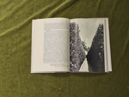 In Your Garden By Vita Sackville-West 1951, 1st/2nd HB DJ8