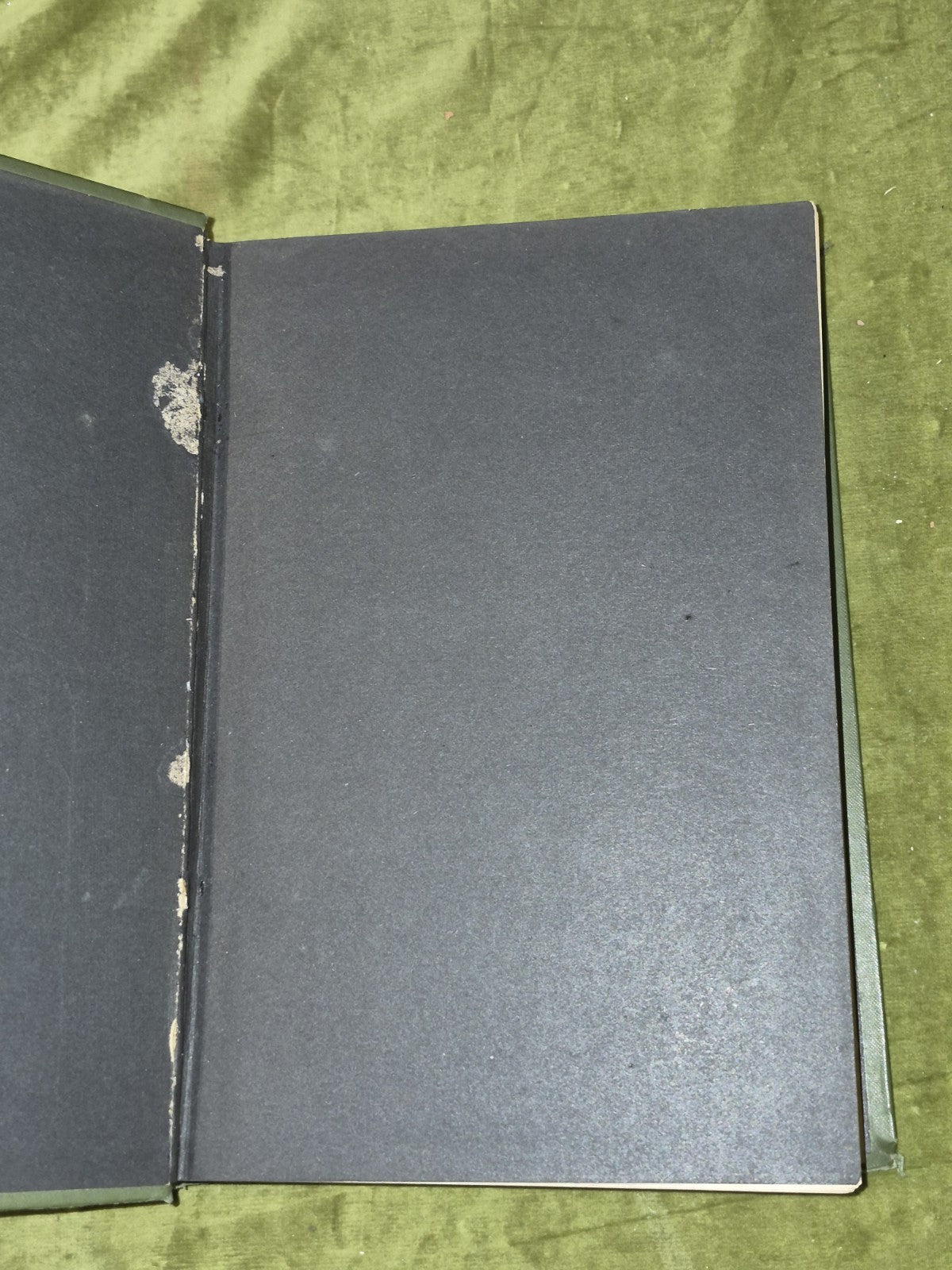 Wood's Illustrated Natural History  Mammals Birds Reptile4