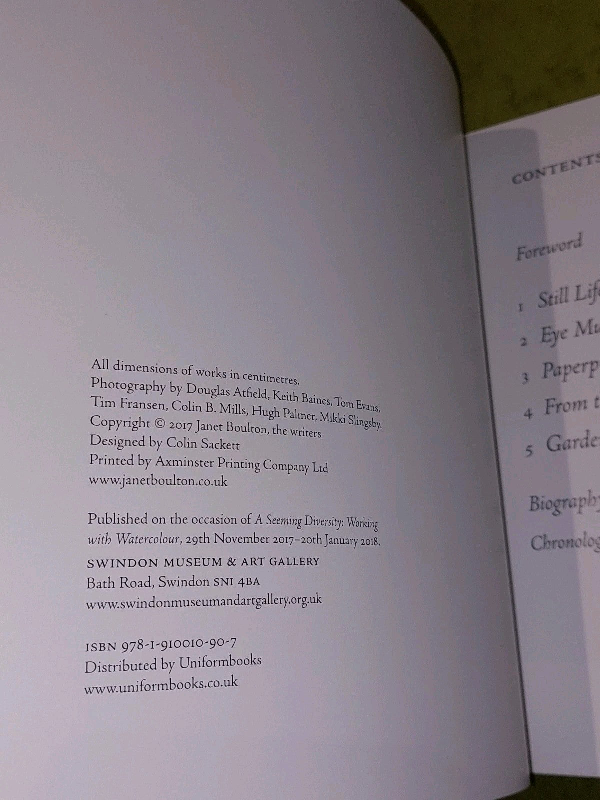 A Seeming Diversity By Janet Boulton (2018) Swindon Museum & Art Gallery Book3