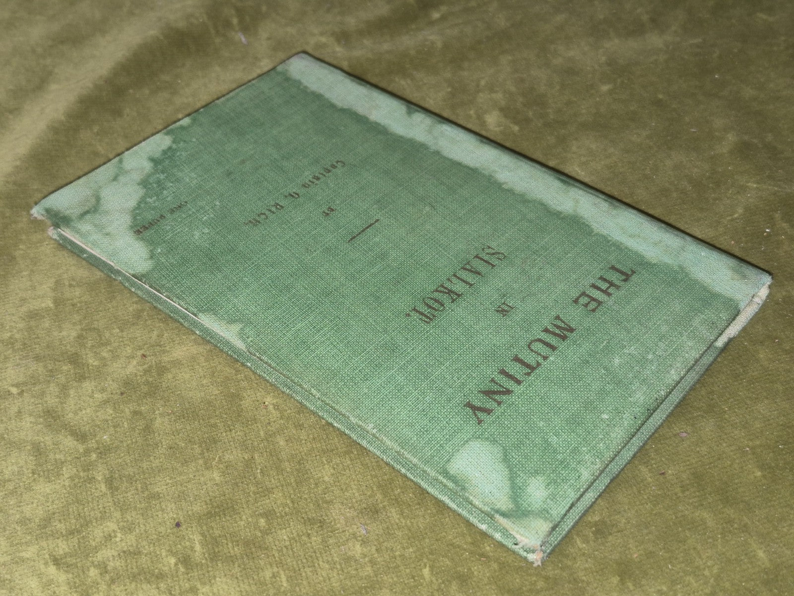 The Mutiny in Sialkot (1924) Captain Gregory Rich Limited 1st Edition2