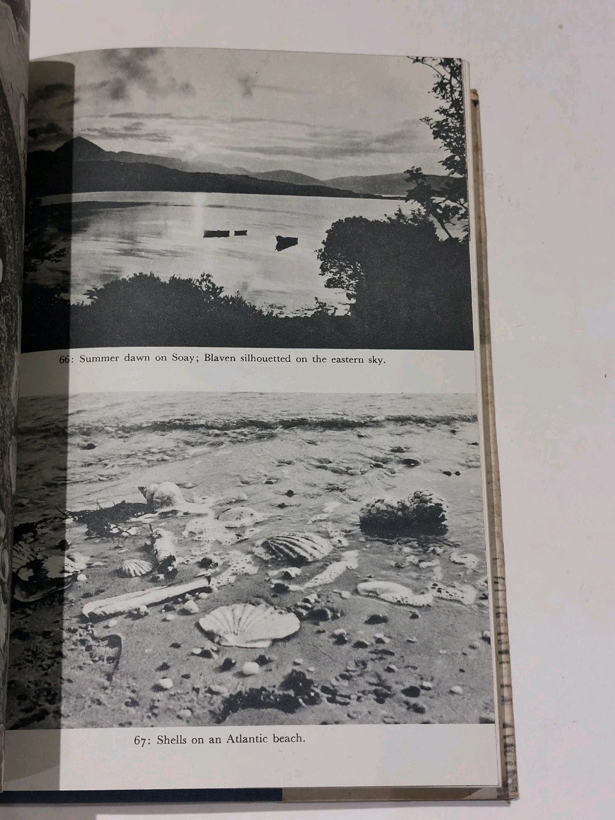 Harpoon : at a venture By Gavin Maxwell (1952) 2nd Ed Hb Book With Dustjacket7