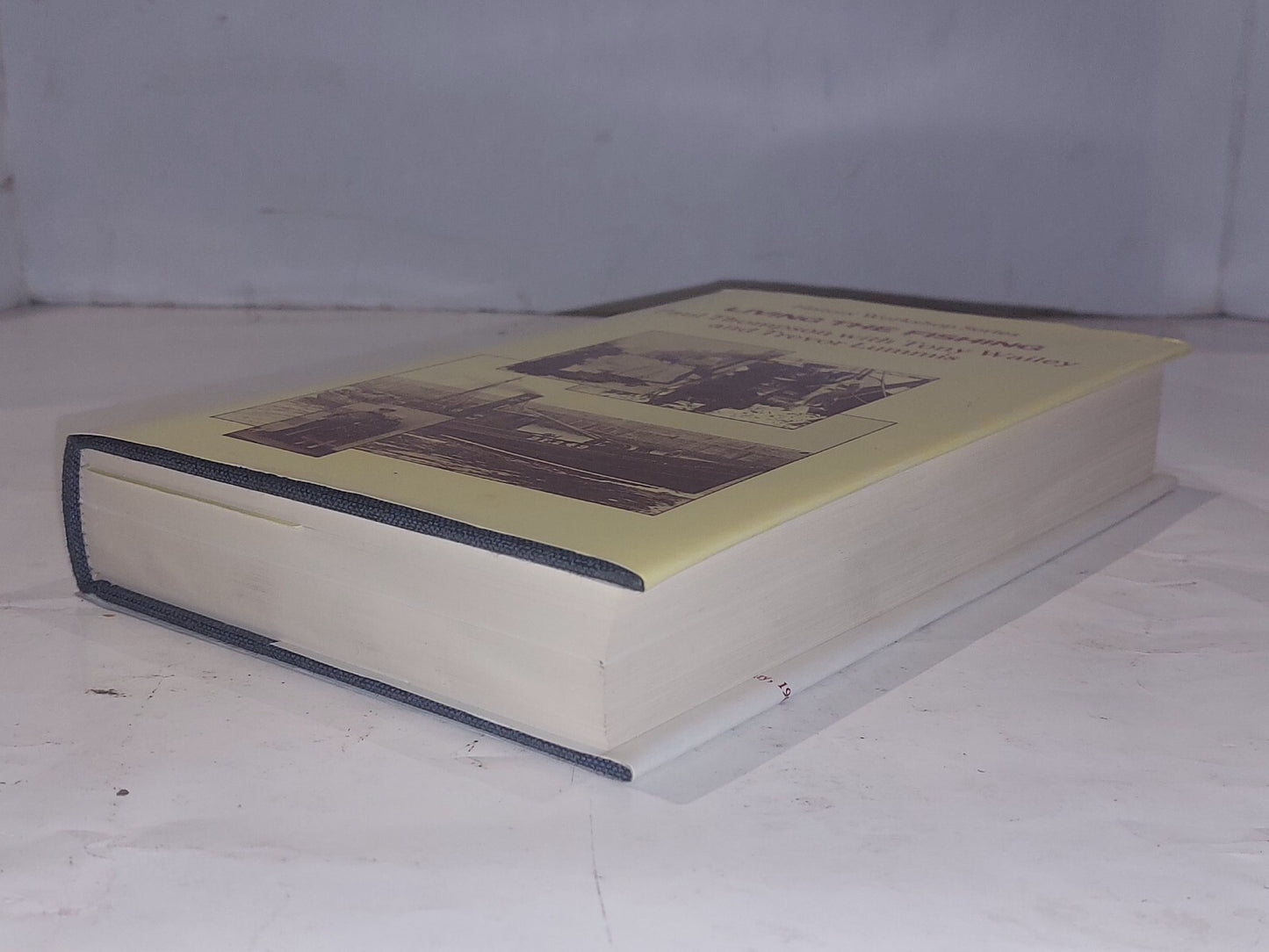 Living The Fishing (History Workshop Series) By Paul Thompson & Tony Wailey Book3