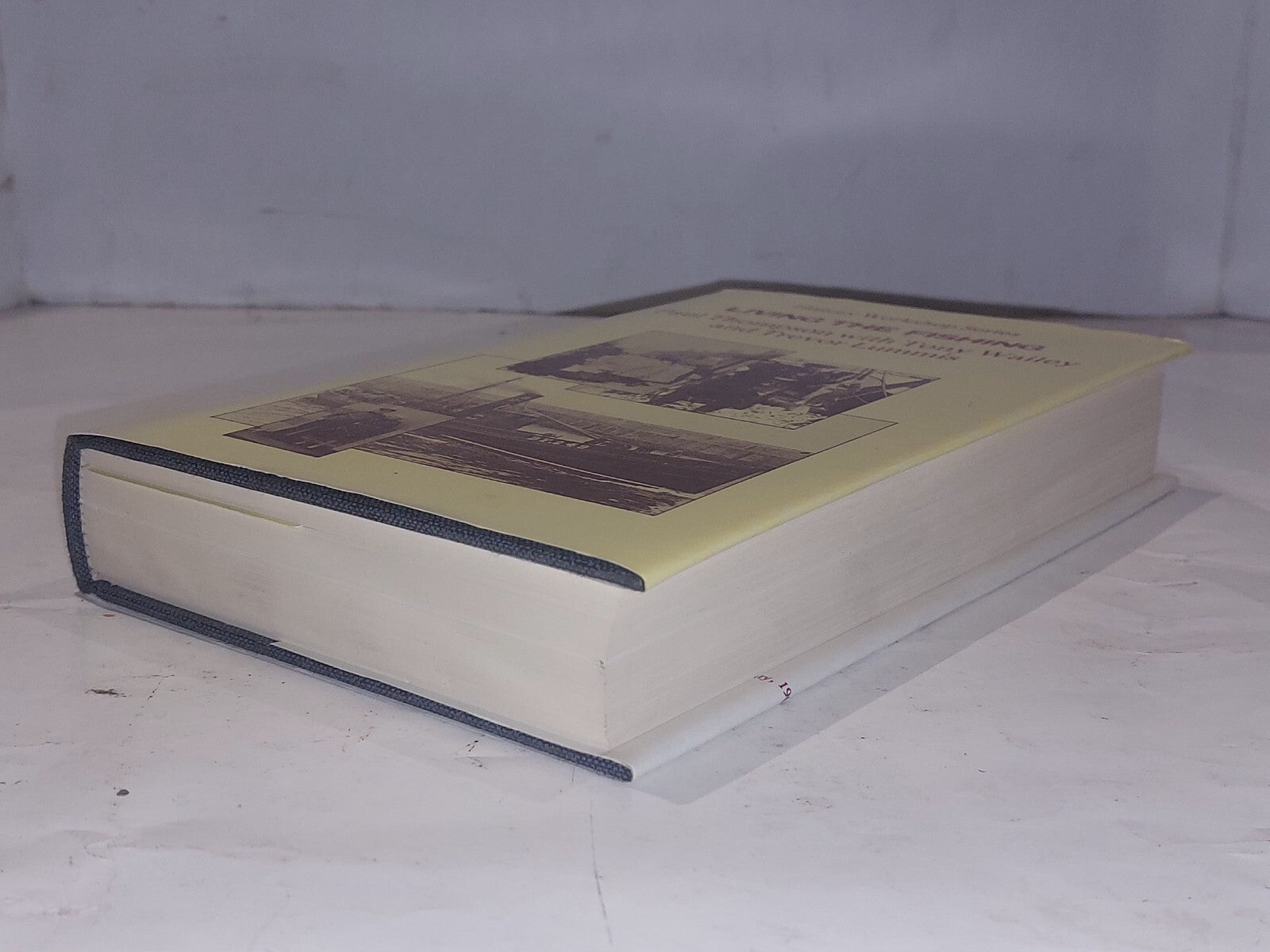 Living The Fishing (History Workshop Series) By Paul Thompson & Tony Wailey Book3