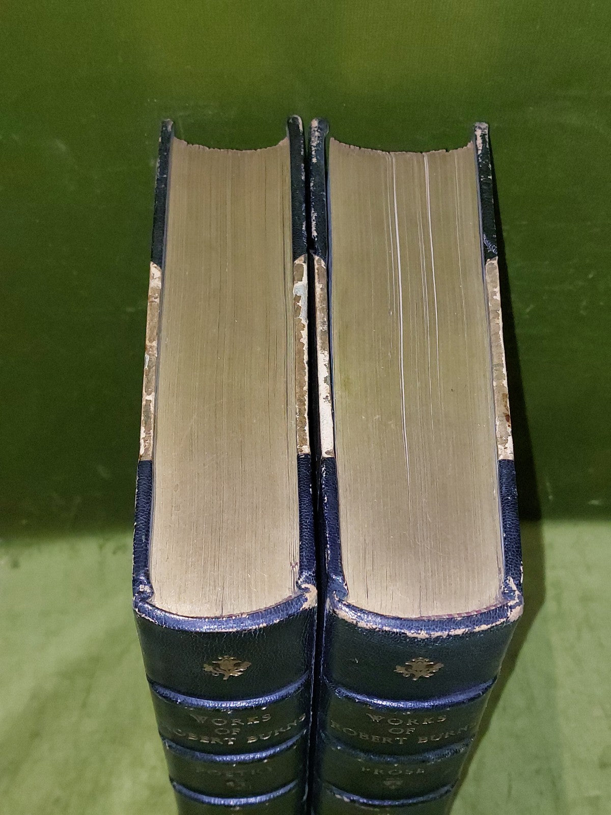 Robert Burns Poetry & Prose (1877) Fine Leather Binding Large Books1