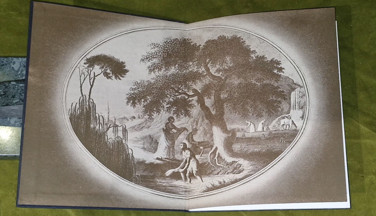 The Faithful Fibre The Story of the Development of the Linen Thread Company 19561