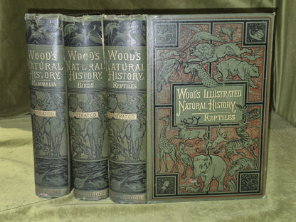 Wood's Illustrated Natural History  Mammals Birds Reptile0