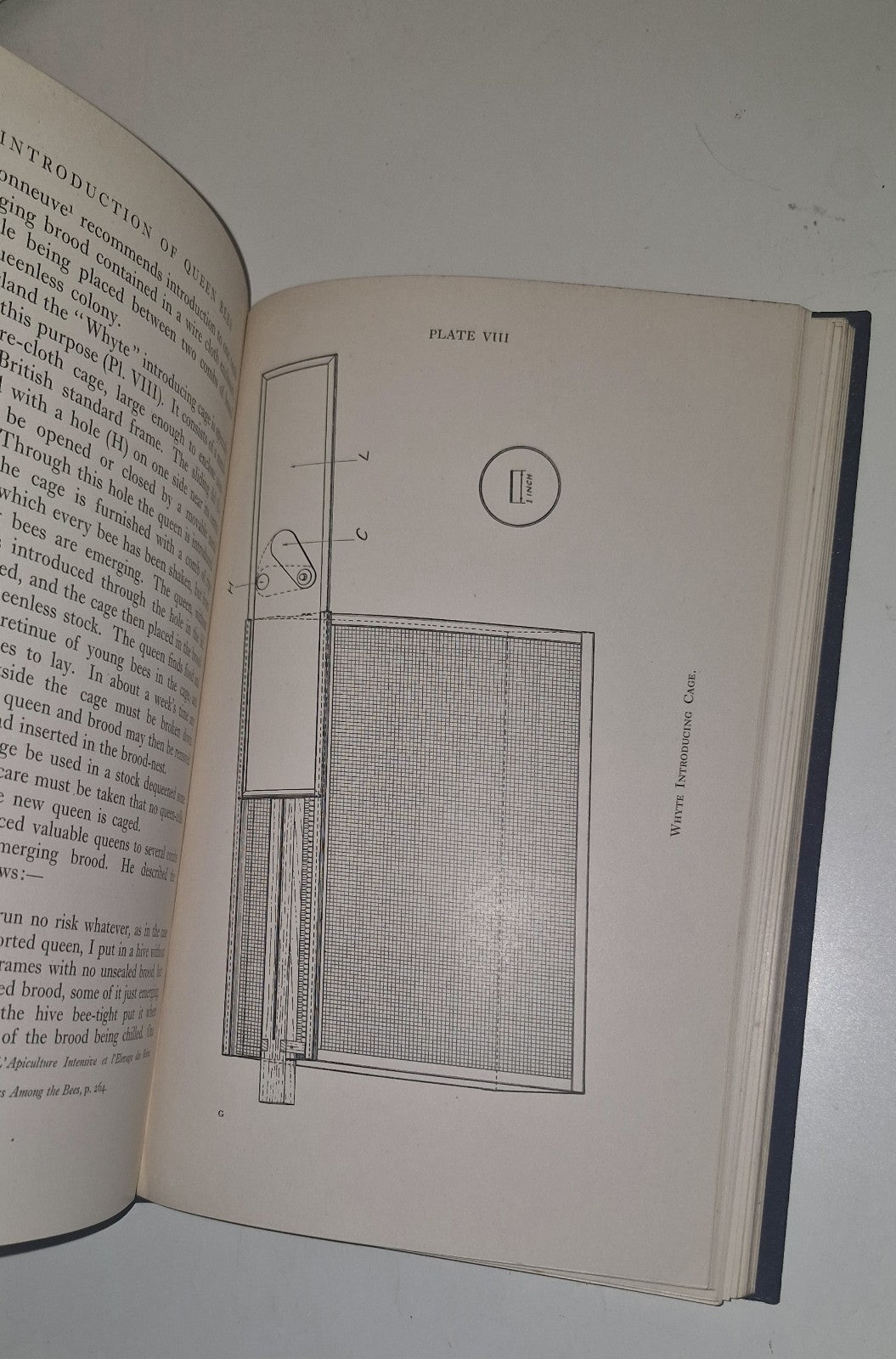 The Introduction of Queen Bees, SNELGROVE, L. E., First Edition 1940 VGC3