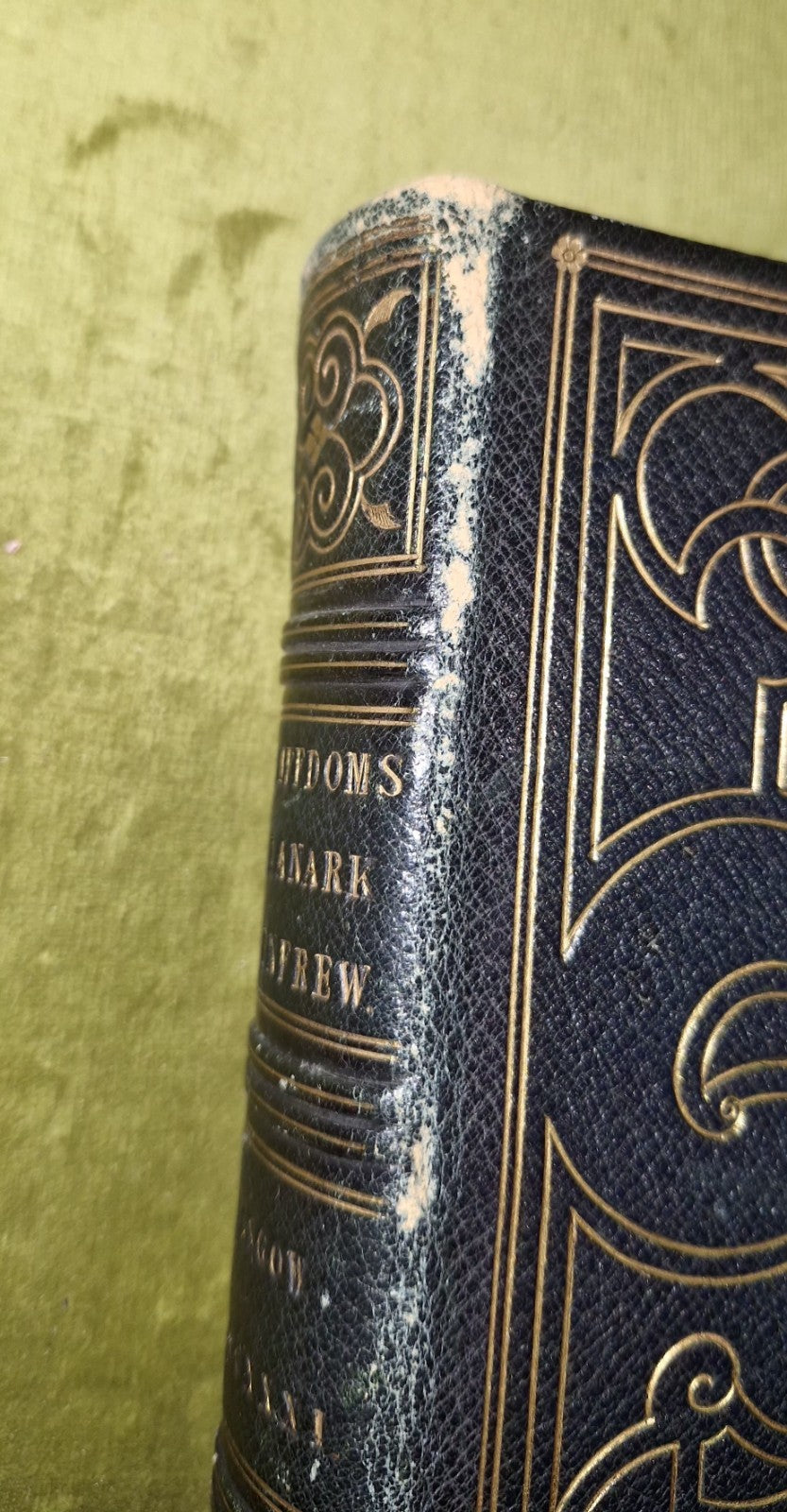 Descriptions Of The Sheriffdoms Of Lanark And Renfrew (1831) William Hamilton3