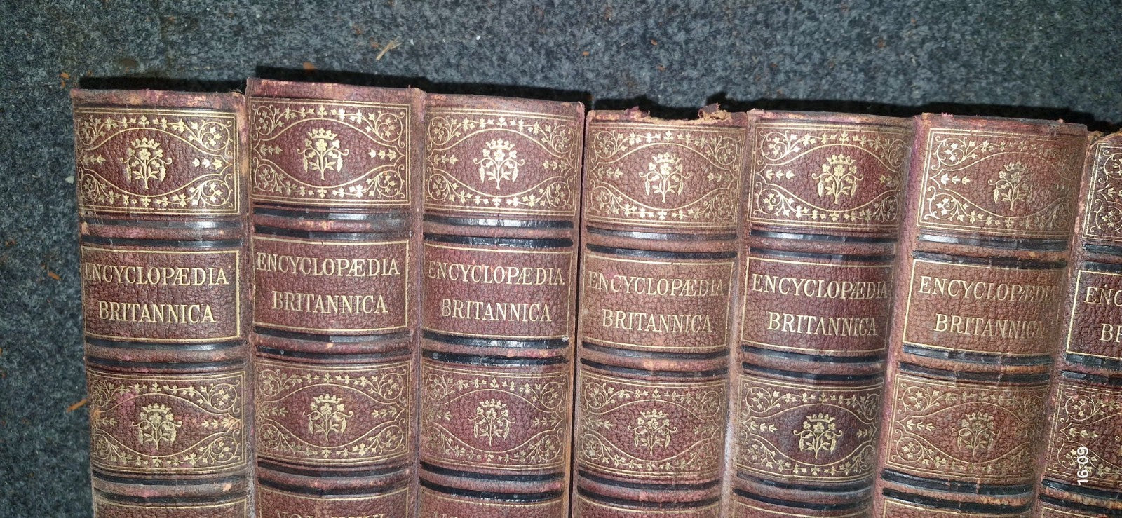 Encyclopedia britannica Tenth Edition 10th The New Volumes To Ninth 9th & Maps5