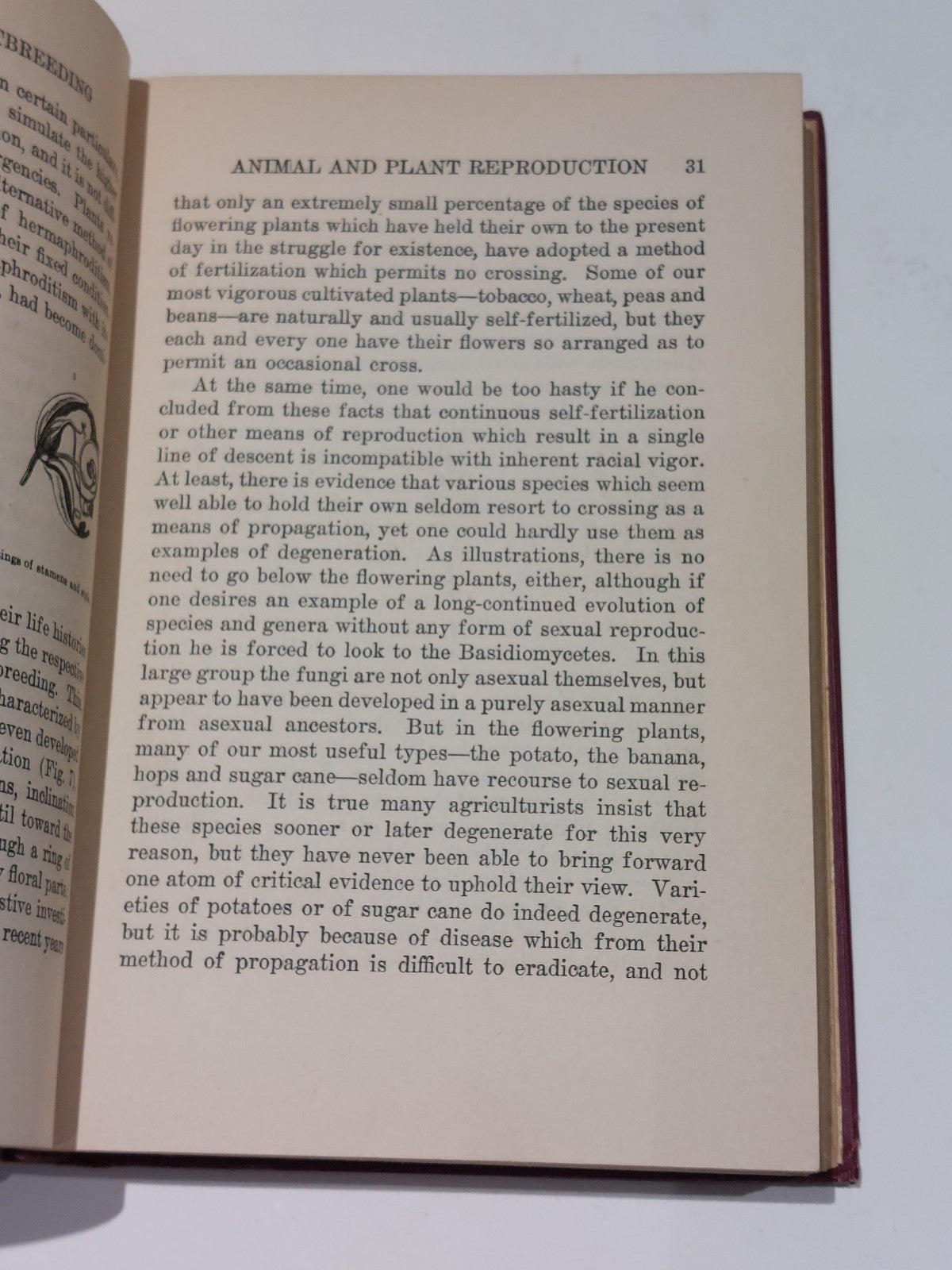 Inbreeding And Outbreeding By Edward M. East (1919) 1st Ed Hb Book4