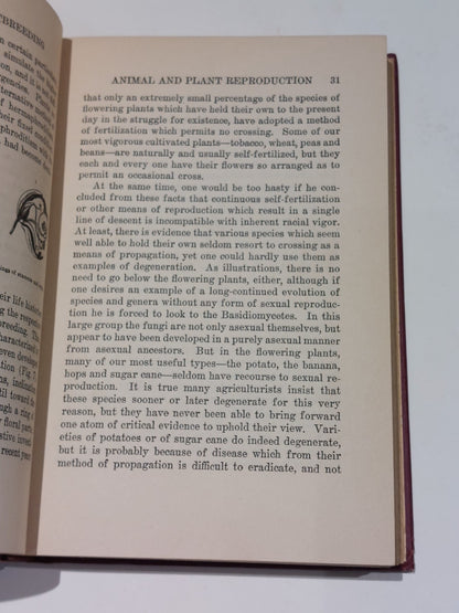 Inbreeding And Outbreeding By Edward M. East (1919) 1st Ed Hb Book4