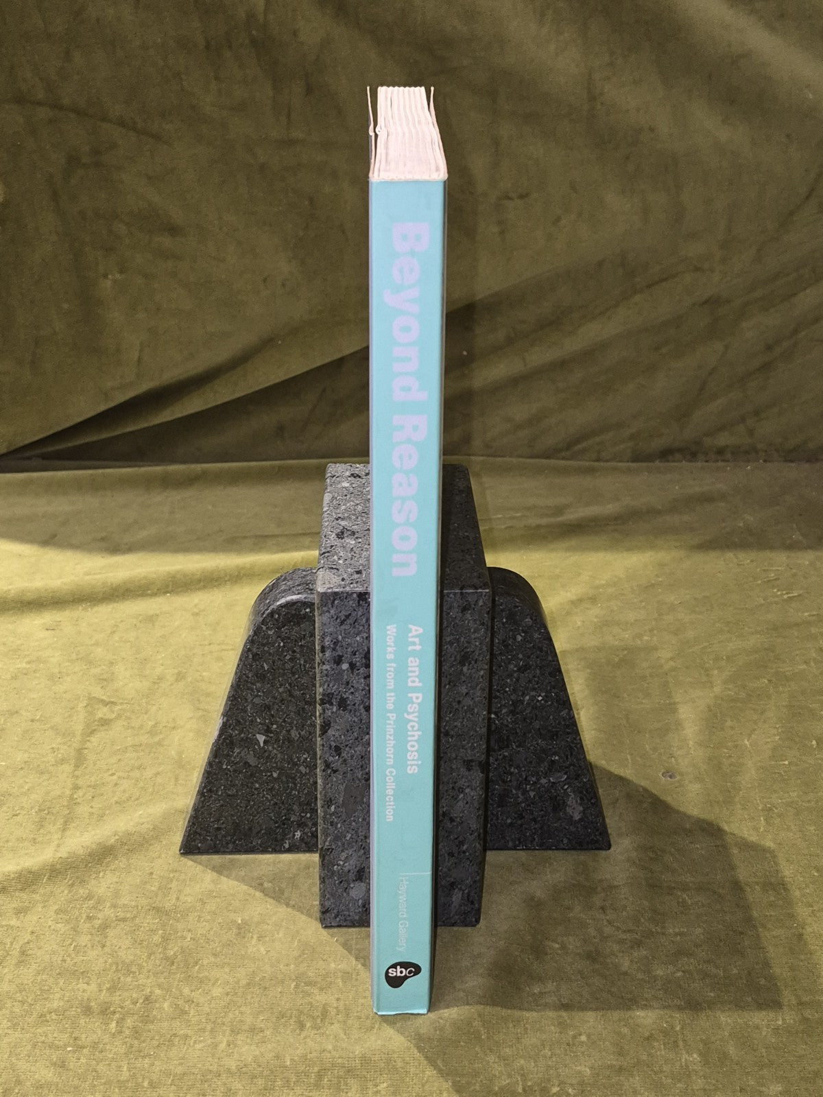 Beyond Reason : Art and Psychosis Works From the Prinzhorn Collection - 19972