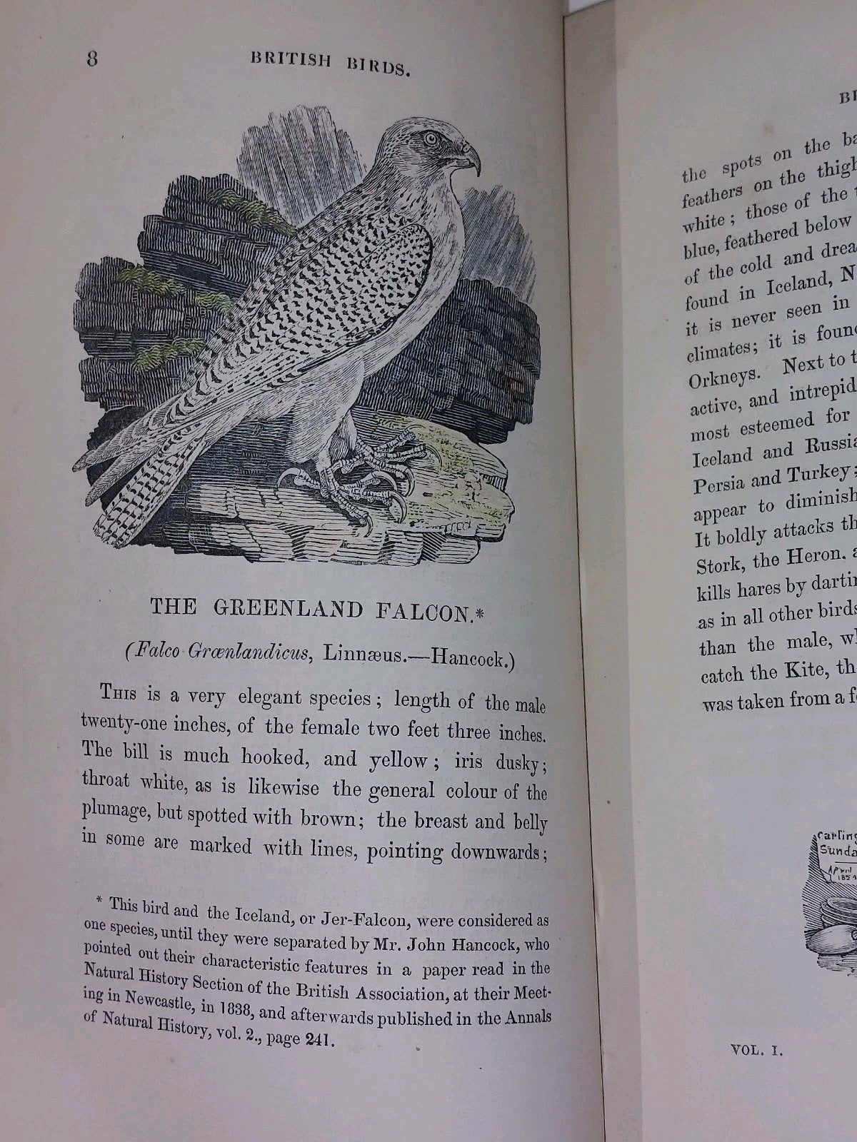 History of British Birds ~ BEWICK Vols I & II (1847)7