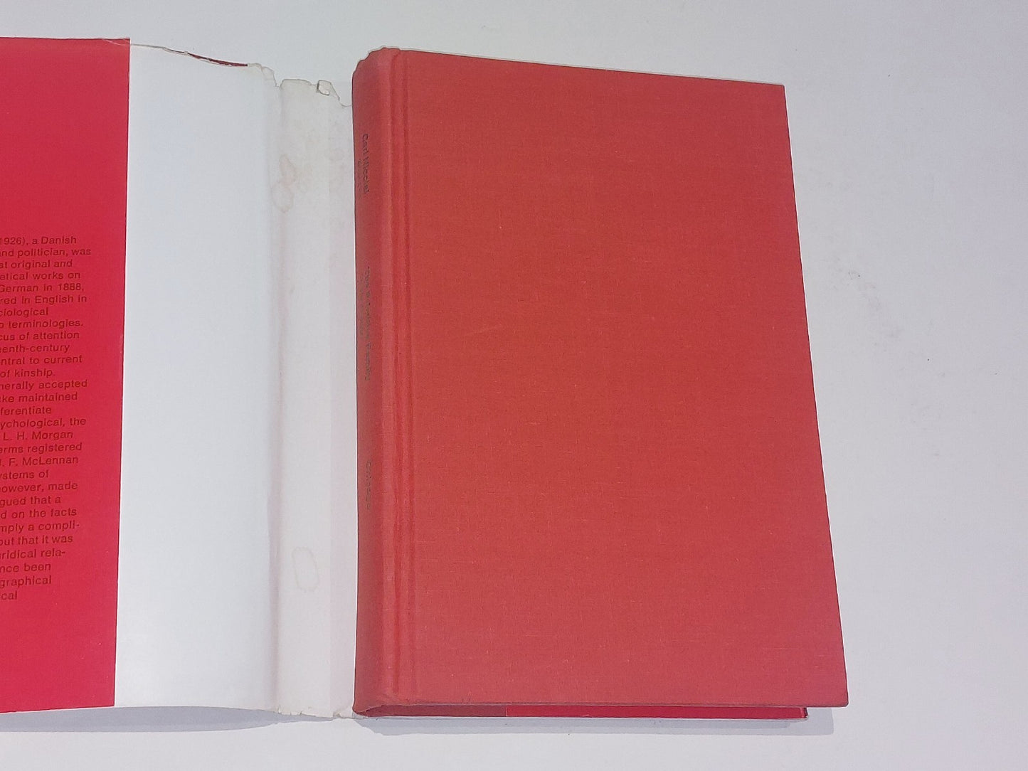 Primitive Family In Its Origin And Development (1976) By Carl Starcke Hb Book1