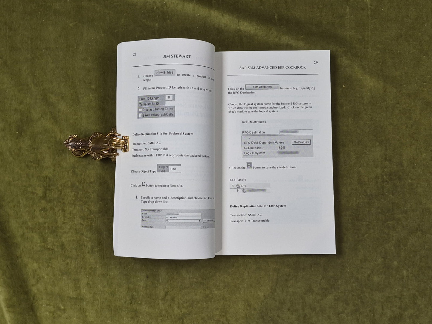 SAP SRM Advanced EBP Cookbook - Jim Stewart , Equity 20045