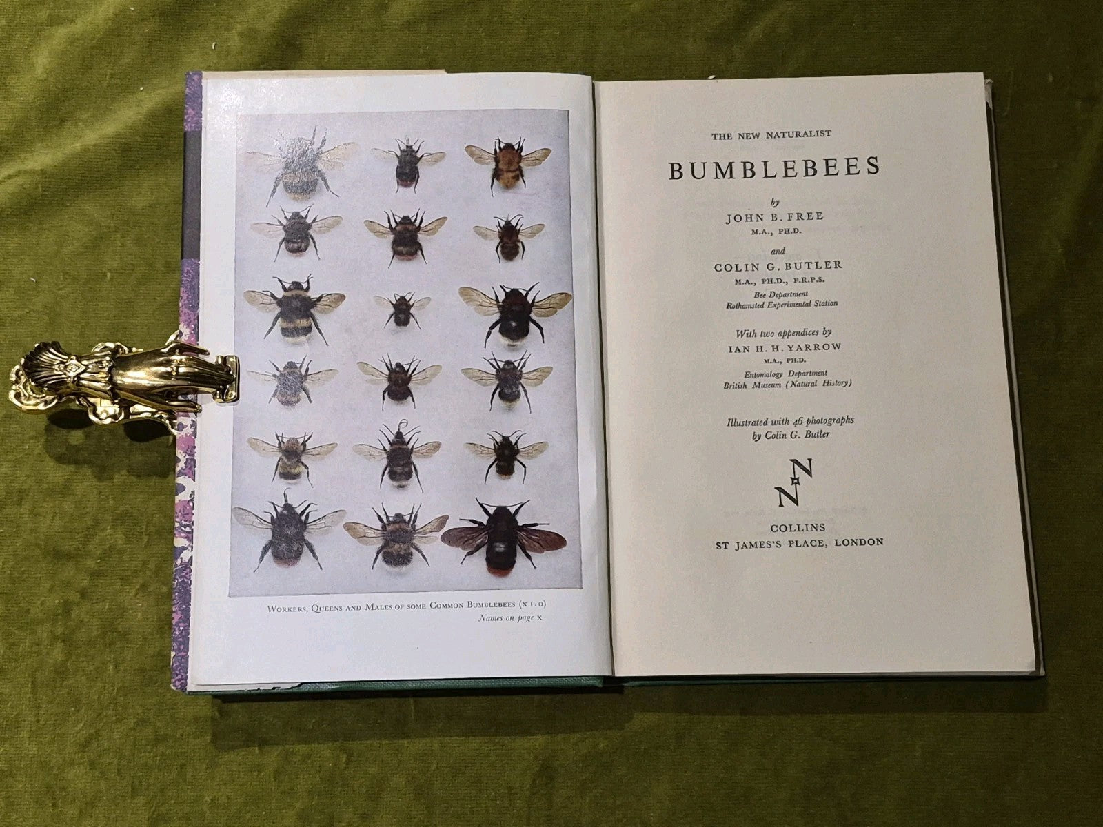 Bumblebees - New Naturalist - John B Free & Colin G Butler HB DJ 1968 reprint2