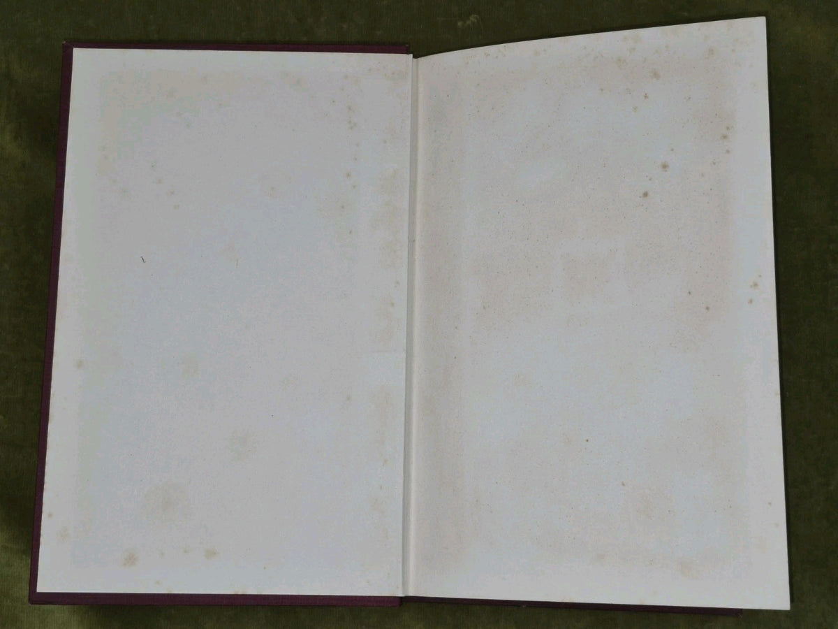 A Judicial Maid Of All Work Hay Shennan 1933 William Hodge2