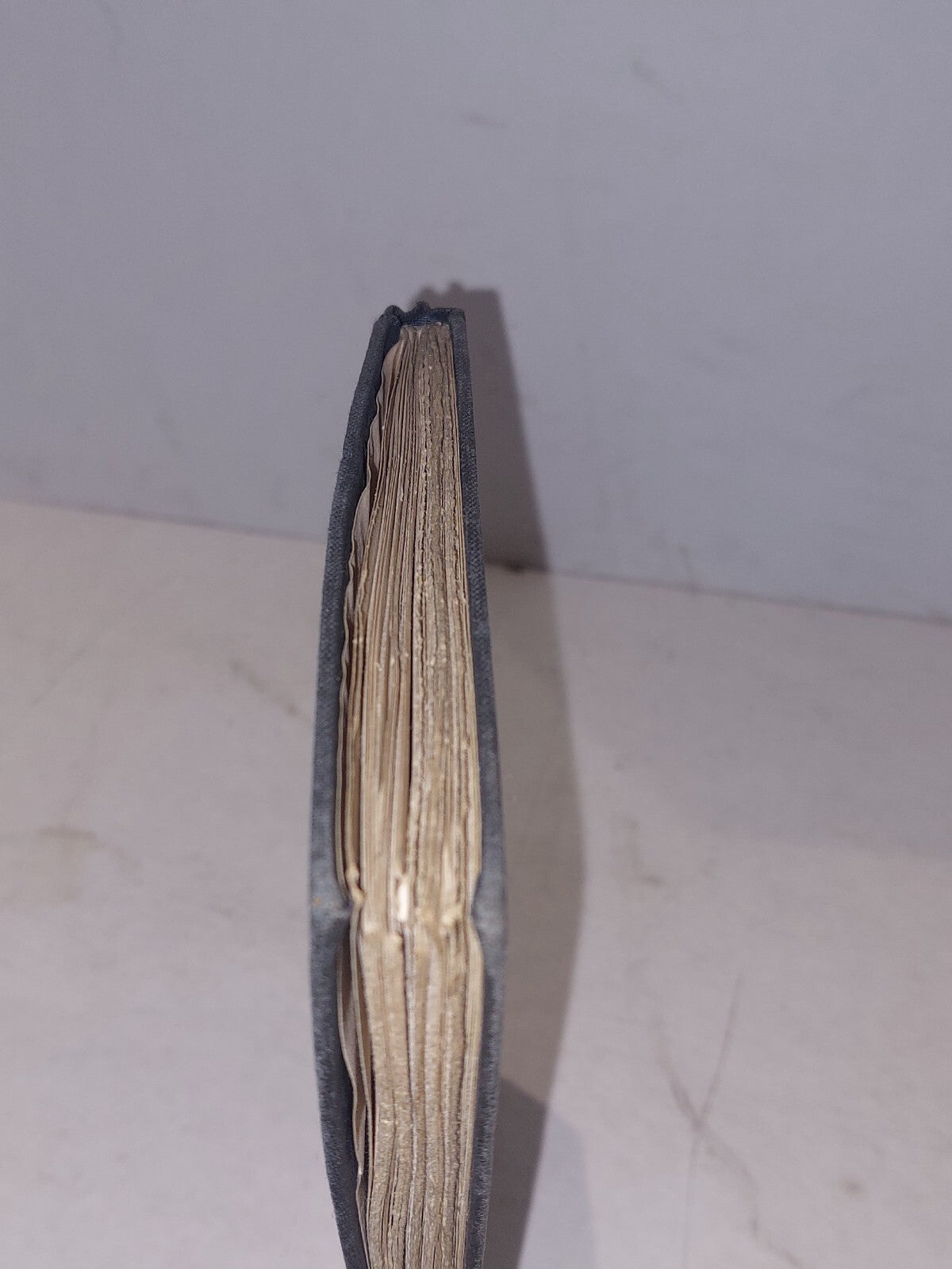 Carmina Legis / Verses Illustrative of the Law of Scotland (1920) WM Gloag Book1