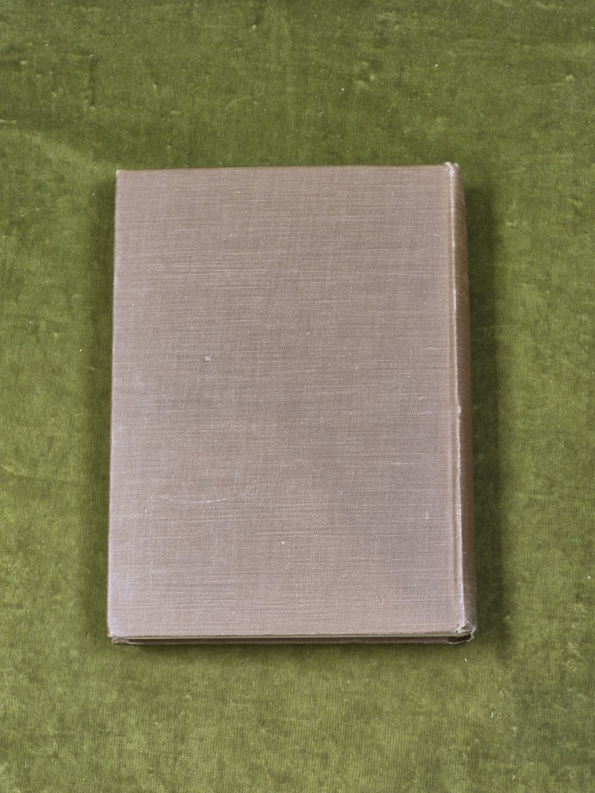 St. Francis of Assisi by G K Chesterton Hodder & Stoughton illus Cayley-Robinson1