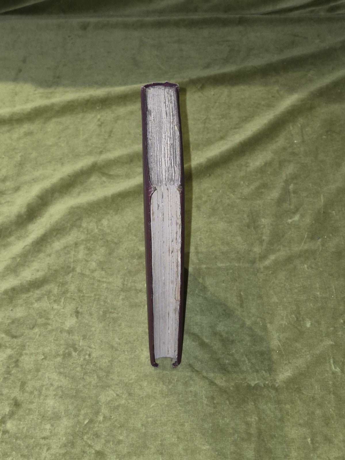 Woodnotes of a Wanderer - John Ramsay - 1865 1st Edition7
