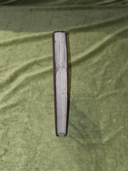 Woodnotes of a Wanderer - John Ramsay - 1865 1st Edition7