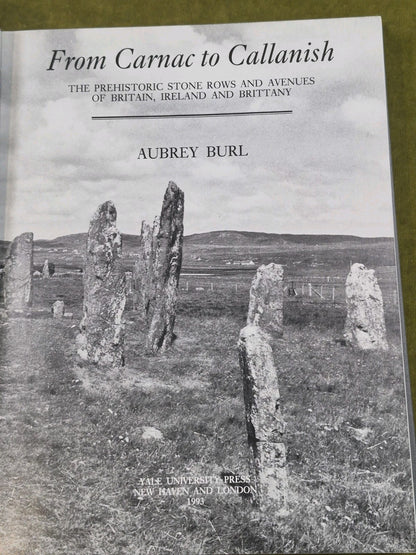 From Carnac to Callanish Perhistoric Stone Rows Britain Ireland Brittany Aubrey3