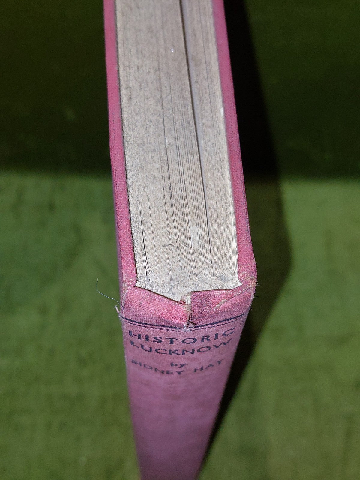 Historic Lucknow (1939) Sidney Hay1