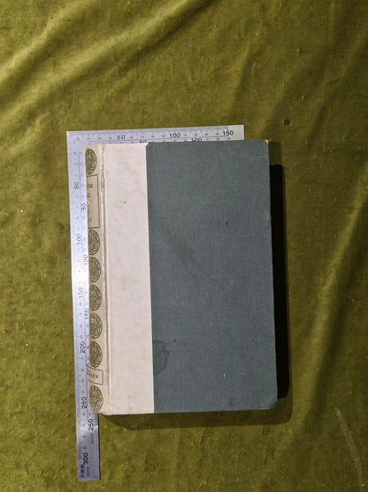 Catherine Sforza - Count Pier Desiderio Pasolini - 1898 - Heinemann6