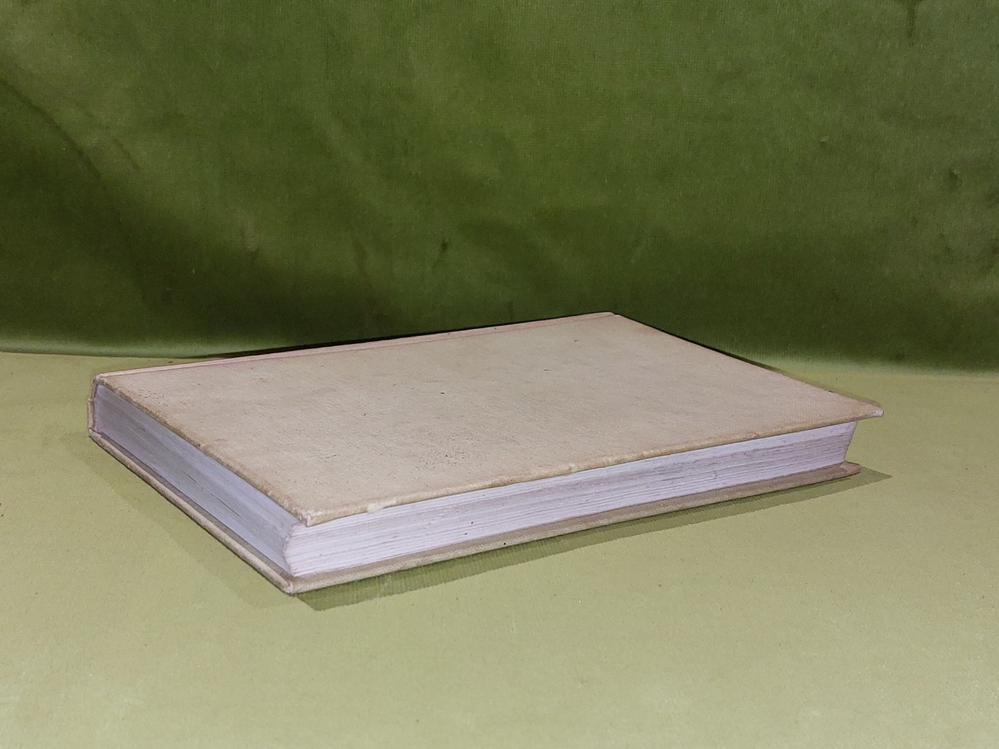 William S Burroughs The Naked Lunch John Calder & Olympic Press (1964)7