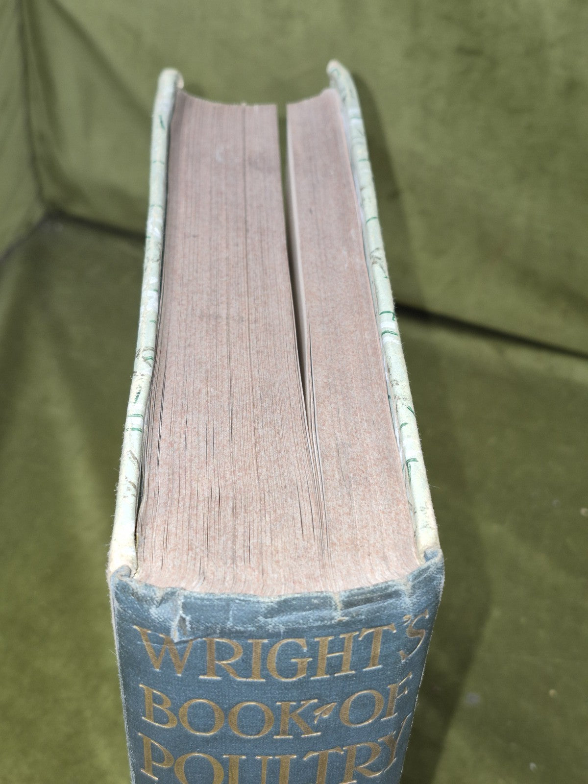 Wright's Book of Poultry Lewer Cassell and Company2
