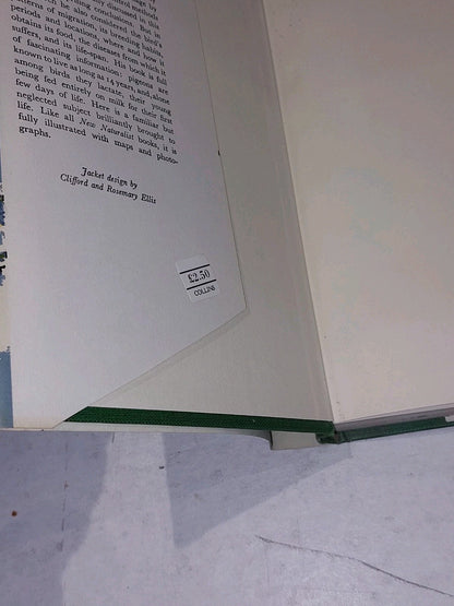 The Wood Pigeon by R. K. Murton (1965) 1st Ed, New Naturalist With Dustjacket 2