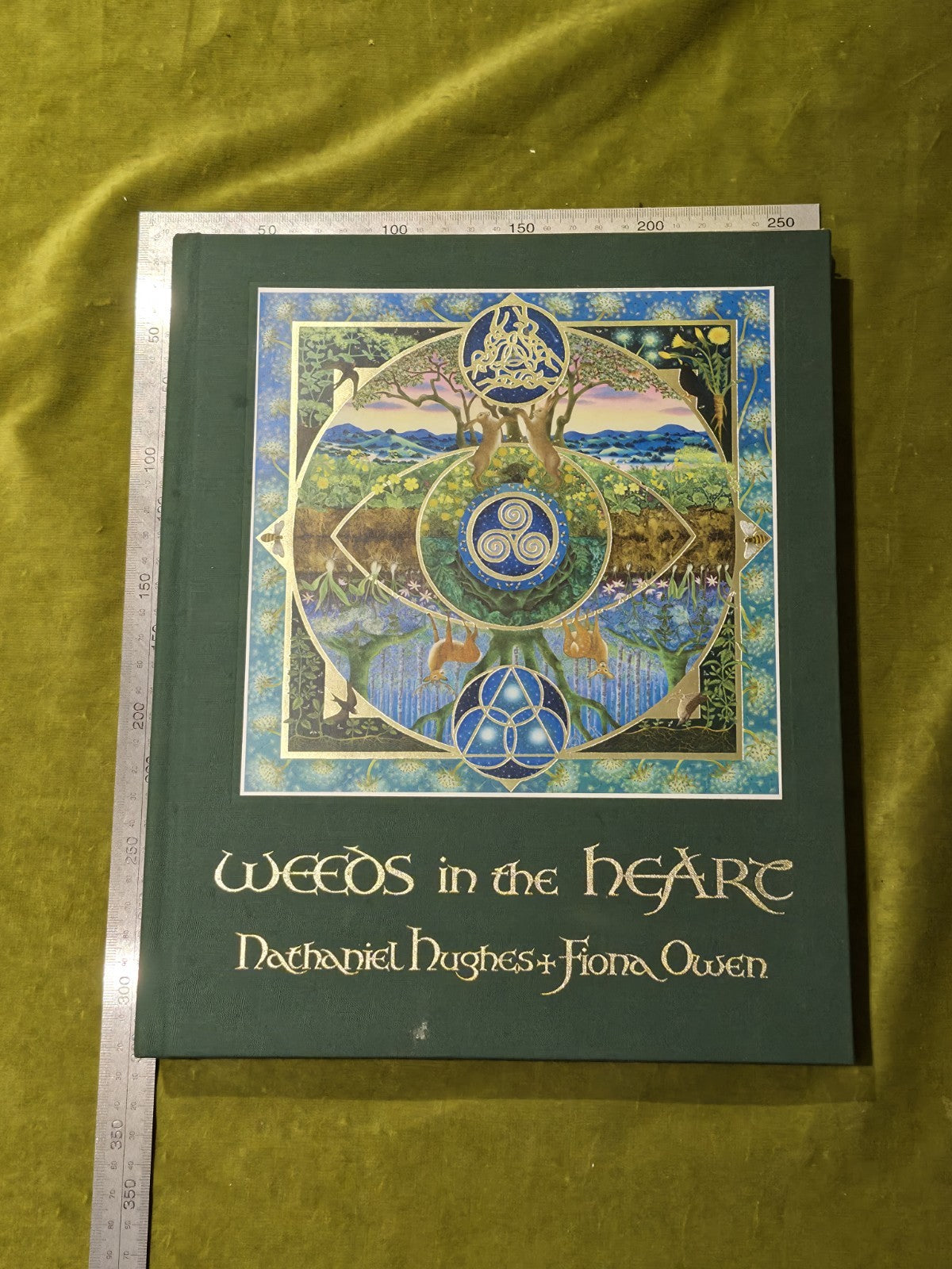 Weeds in the Heart - Nathaniel Hughes Fiona Owen Limited 1st Edition Signed 20163