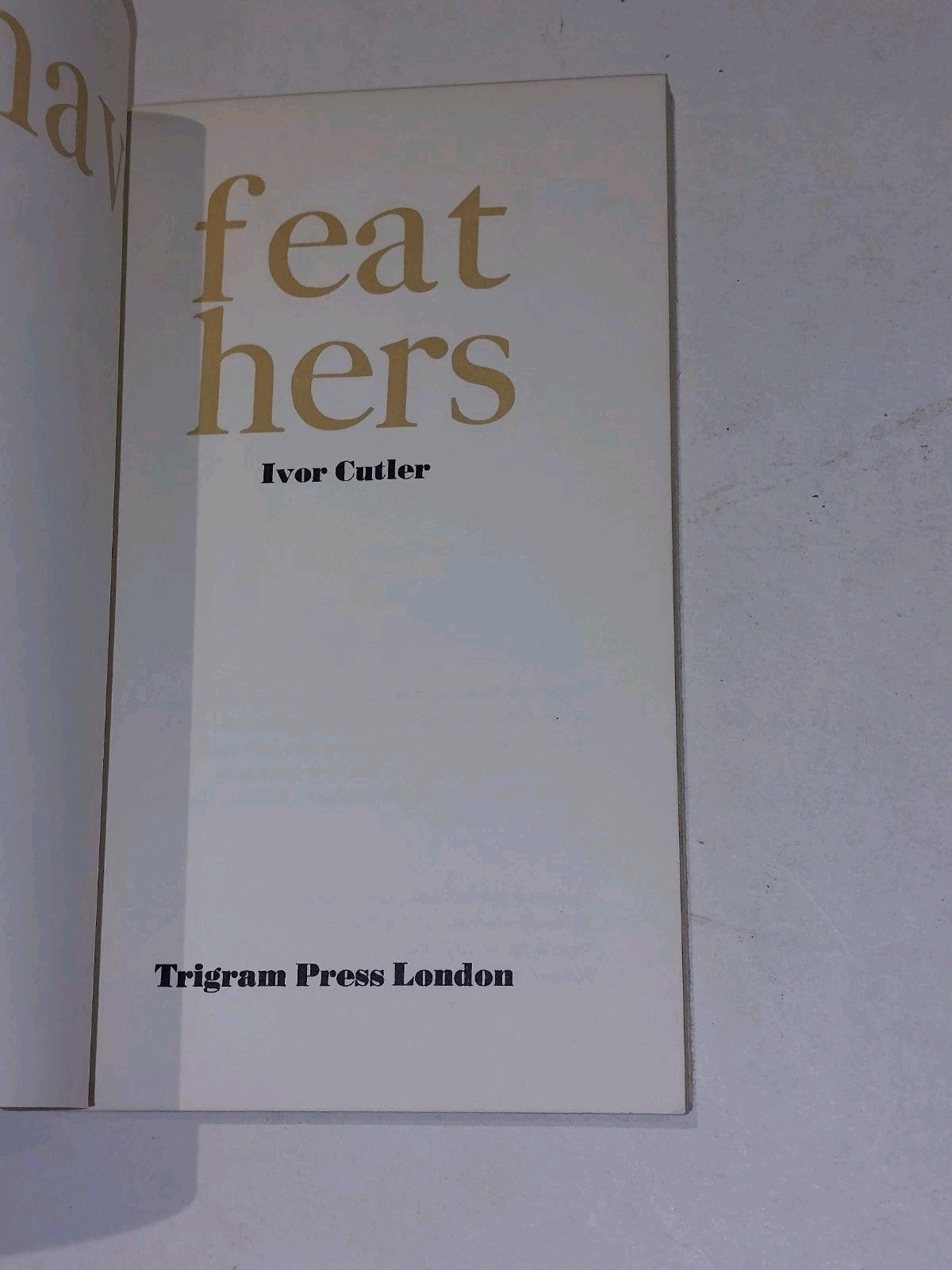 Many Flies Have Feathers By Ivor Cutler (1973) 1st Ed [Trigram Press] Pb Book4