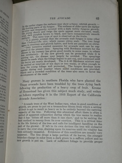 Manual of Tropical and Subtropical Fruits Wilson Popenoe 1920 Macmillan7