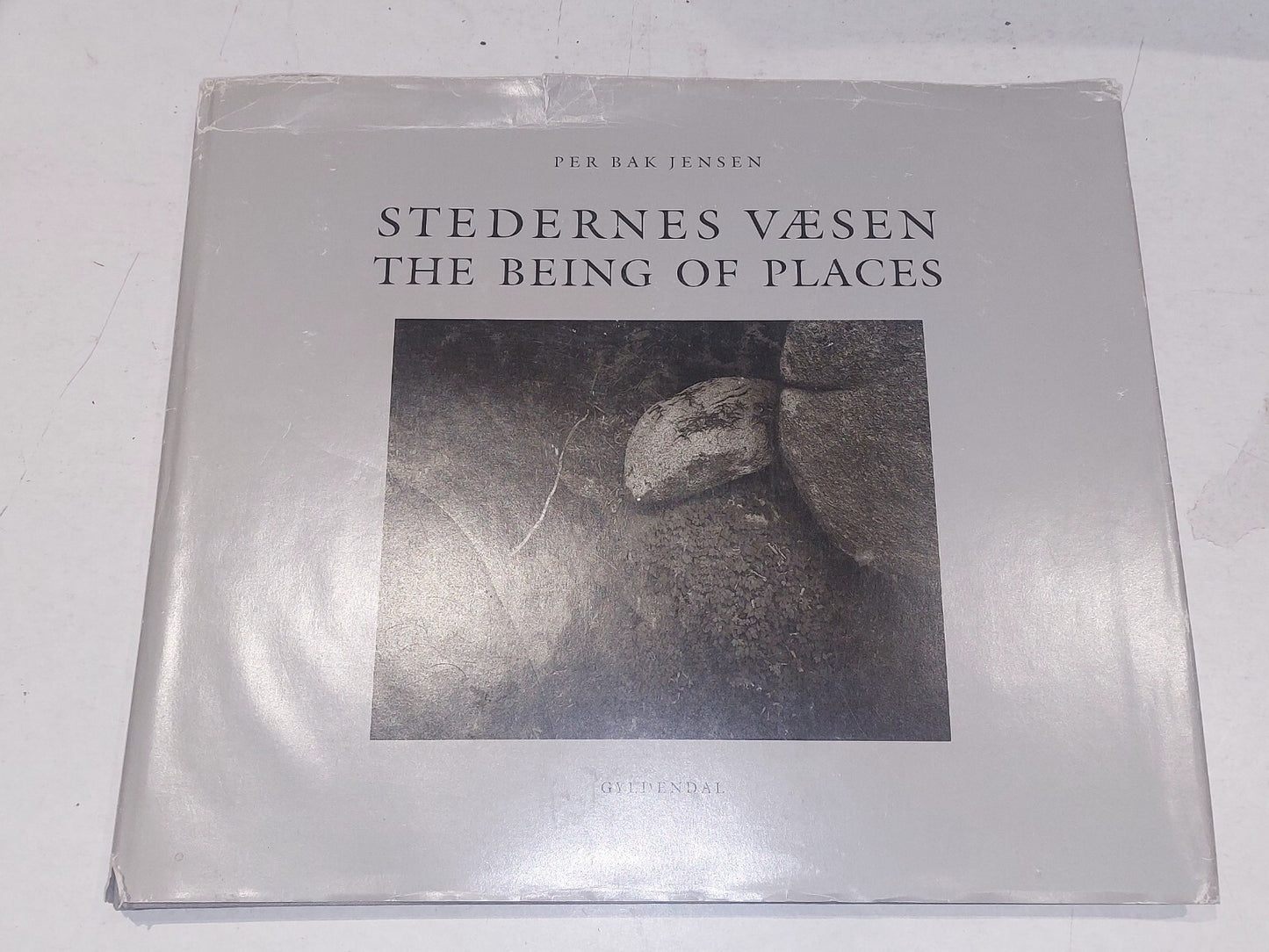 stedernes vaesen / the being of places by per bak jensen (1993) Art Hb Book0